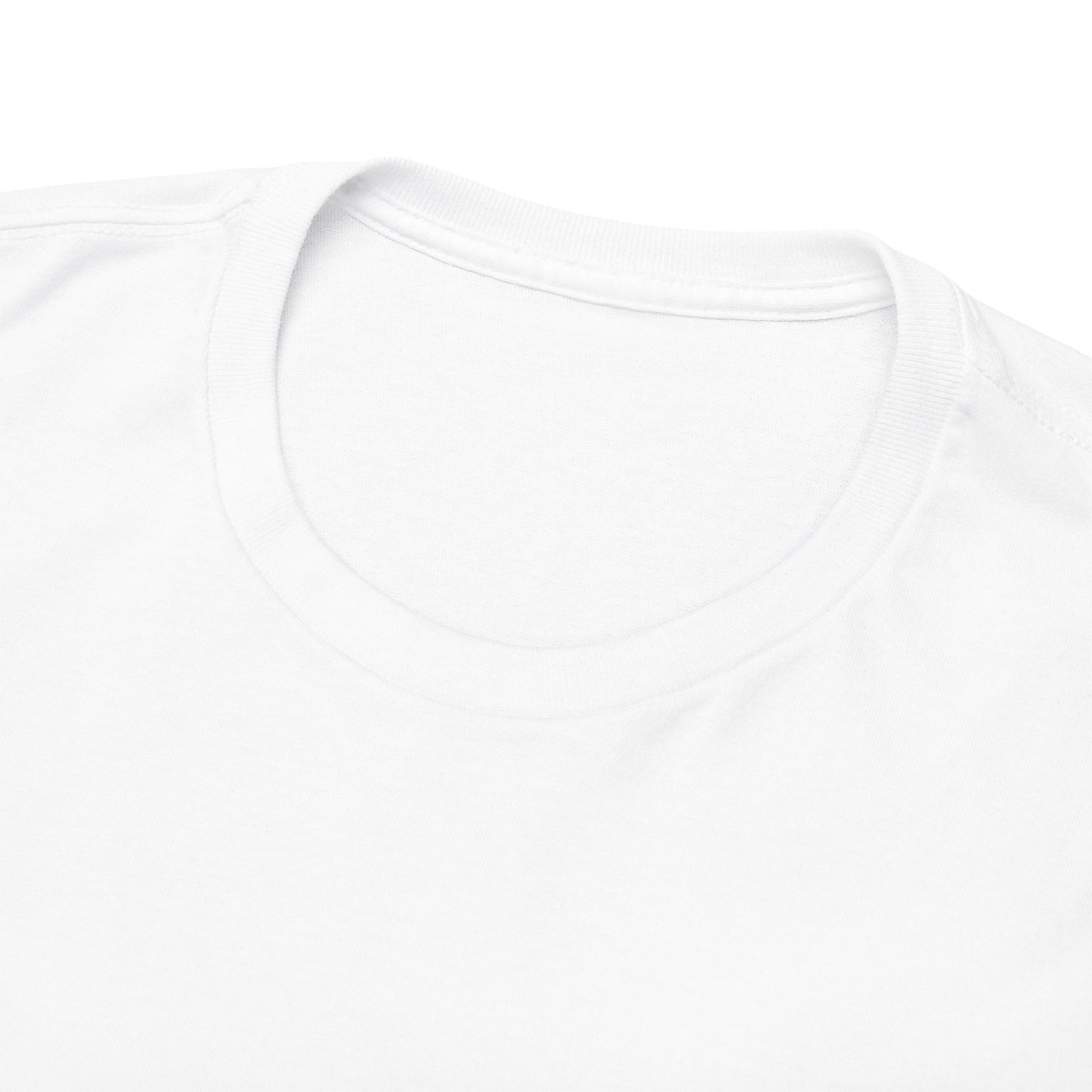 Funny Cat Approval Unisex Heavy Cotton Tee - All Visitors Must Be Approved by The Cat - Roe Creation