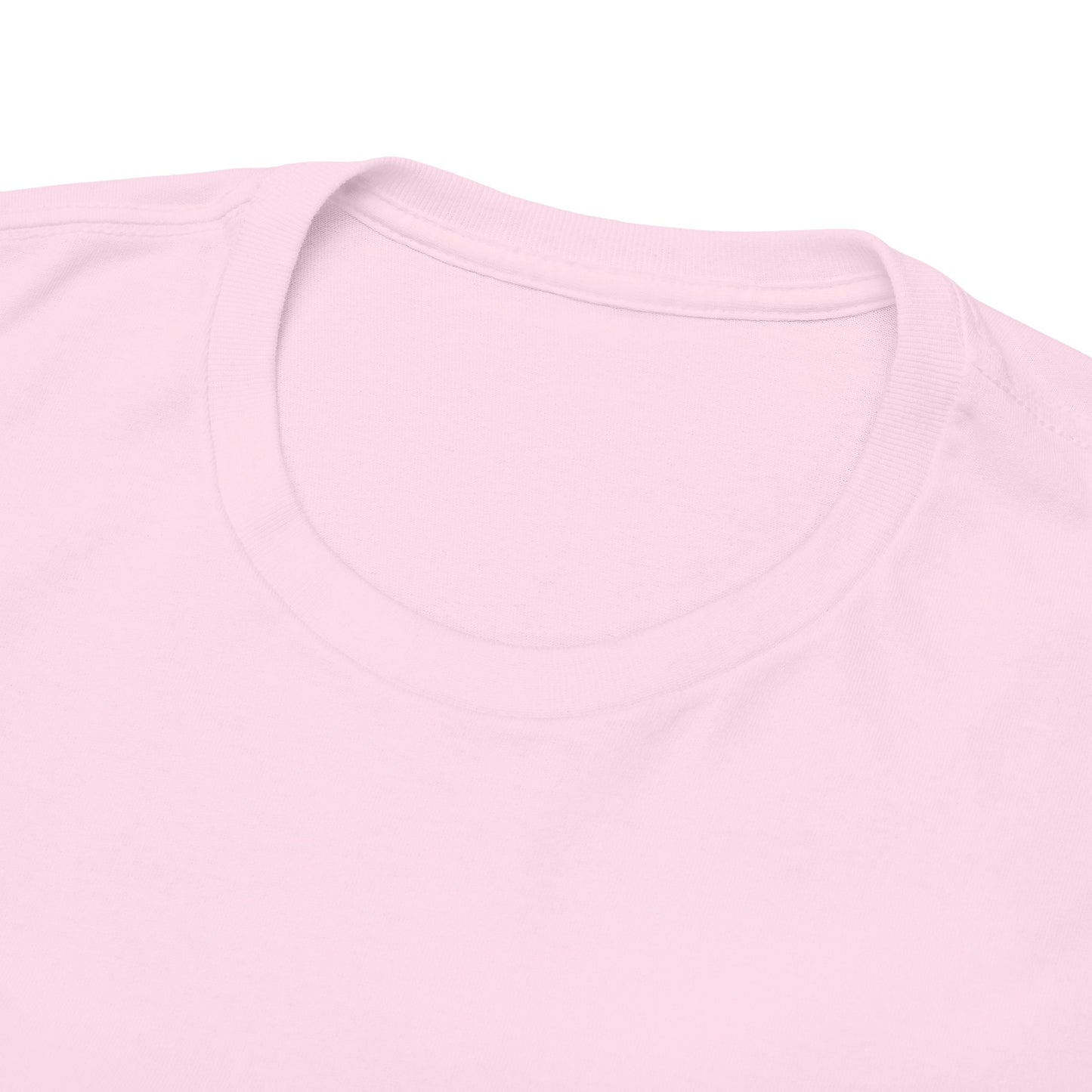 Funny Cat Approval Unisex Heavy Cotton Tee - All Visitors Must Be Approved by The Cat - Roe Creation