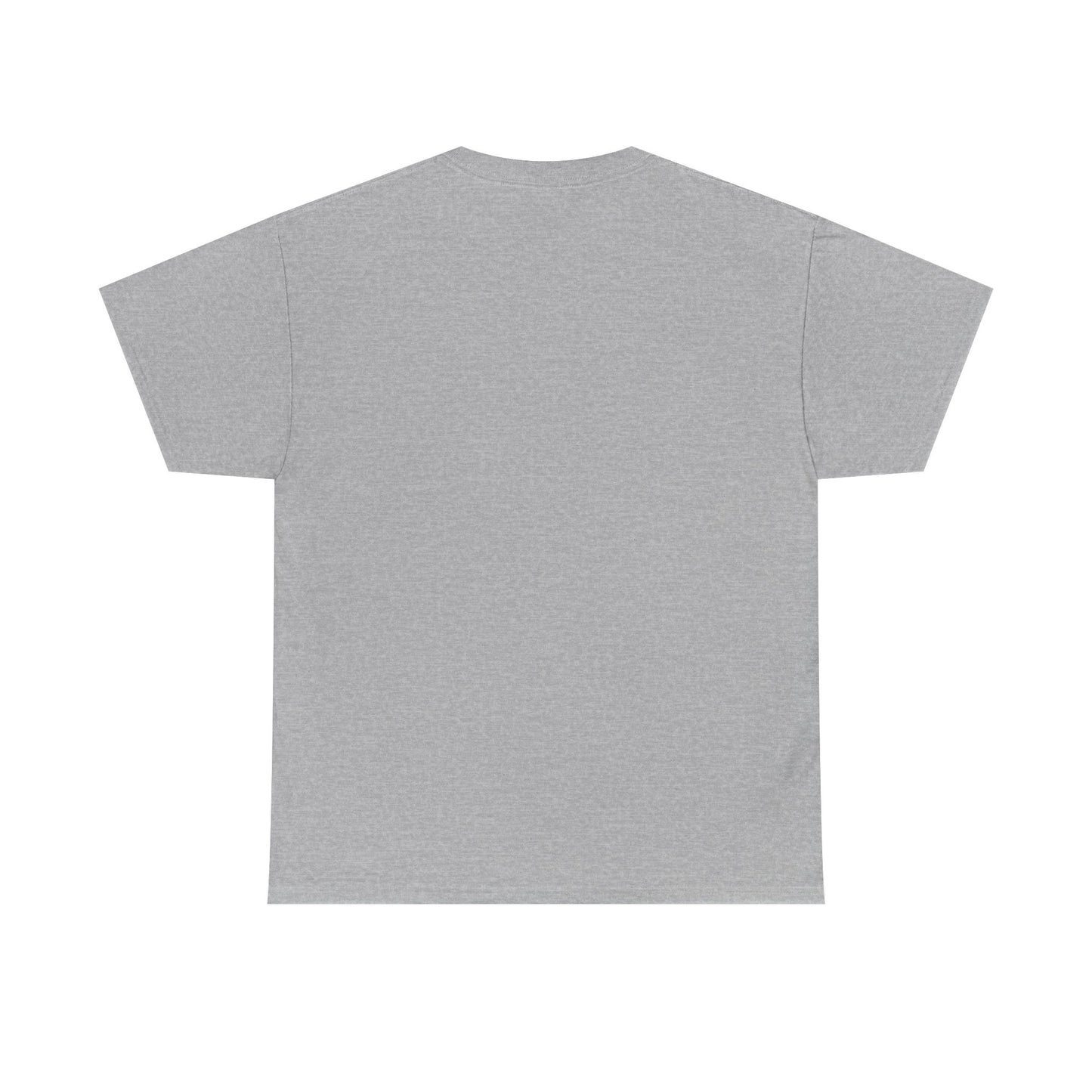 Funny Cat Approval Unisex Heavy Cotton Tee - All Visitors Must Be Approved by The Cat - Roe Creation
