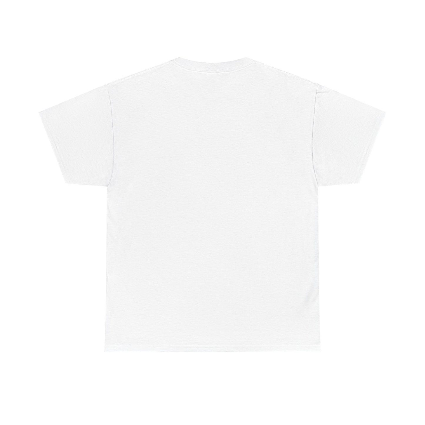 Funny Cat Approval Unisex Heavy Cotton Tee - All Visitors Must Be Approved by The Cat - Roe Creation