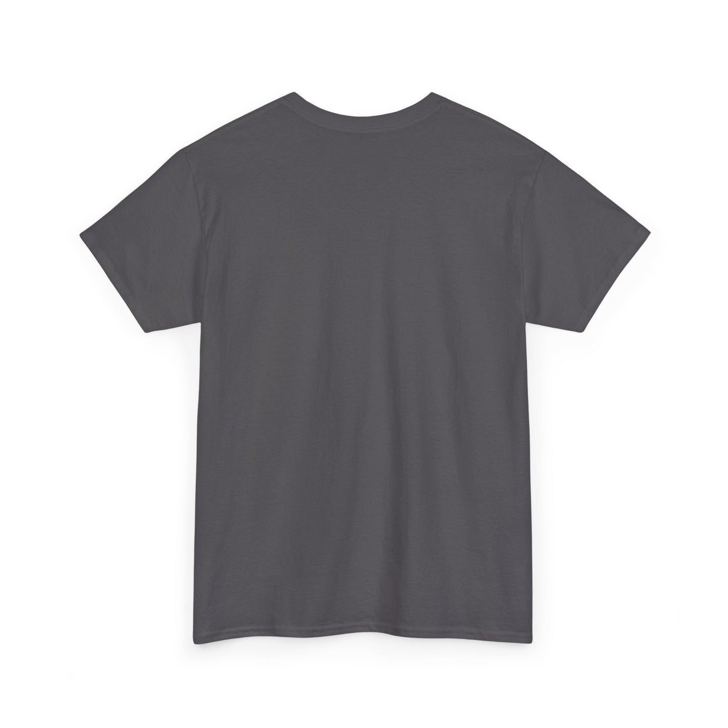 Motivational Unisex Heavy Cotton Tee - 'Work Hard, Dream Big' - Roe Creation