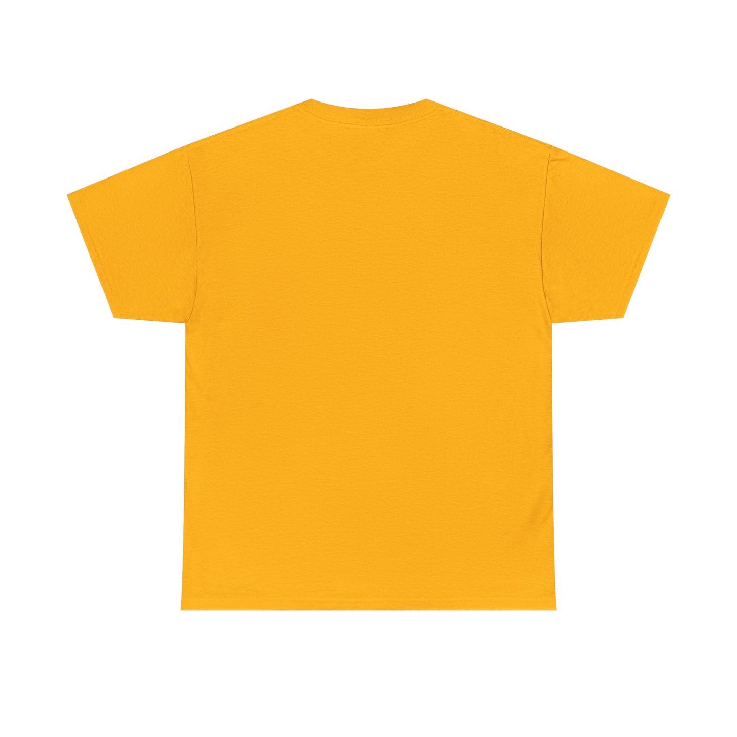 Funny Cat Approval Unisex Heavy Cotton Tee - All Visitors Must Be Approved by The Cat - Roe Creation