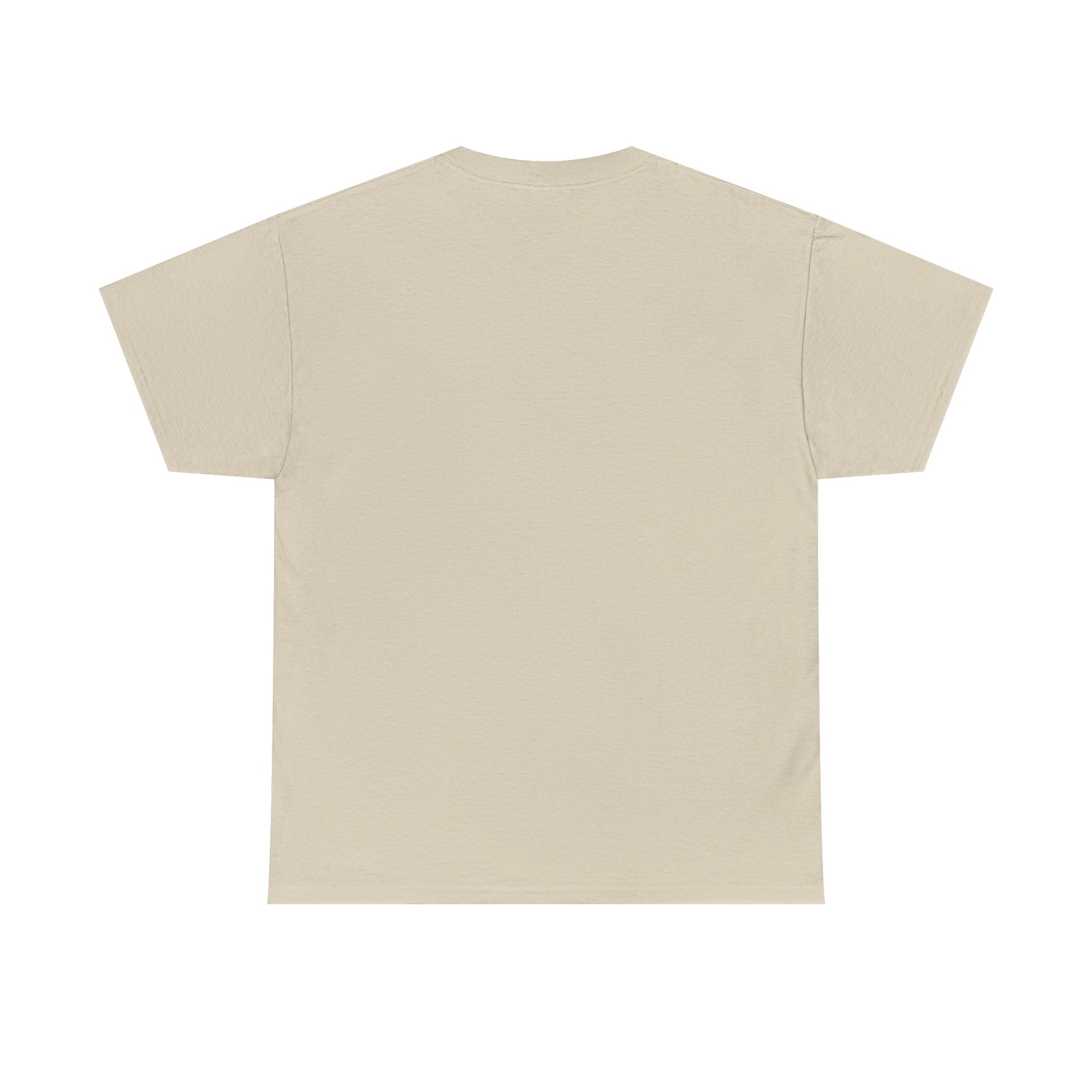 Funny Cat Approval Unisex Heavy Cotton Tee - All Visitors Must Be Approved by The Cat - Roe Creation