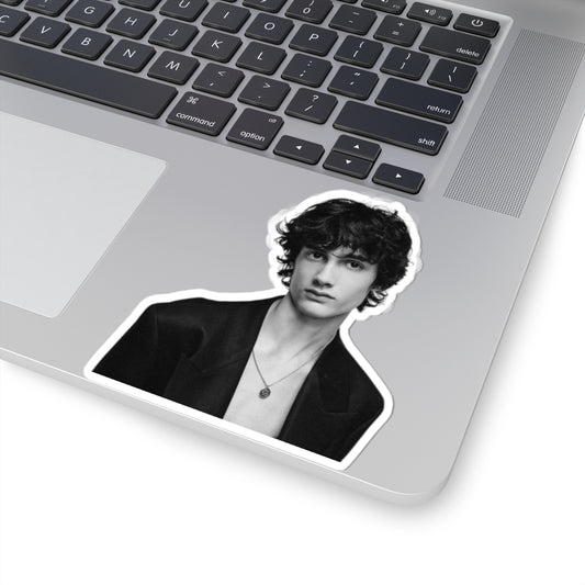 Sombr Kiss-Cut Stickers, Sombr Singer Decorations, Music Lover Gift, Band Decals, Guitarist Stickers, Musical Artist Merch.