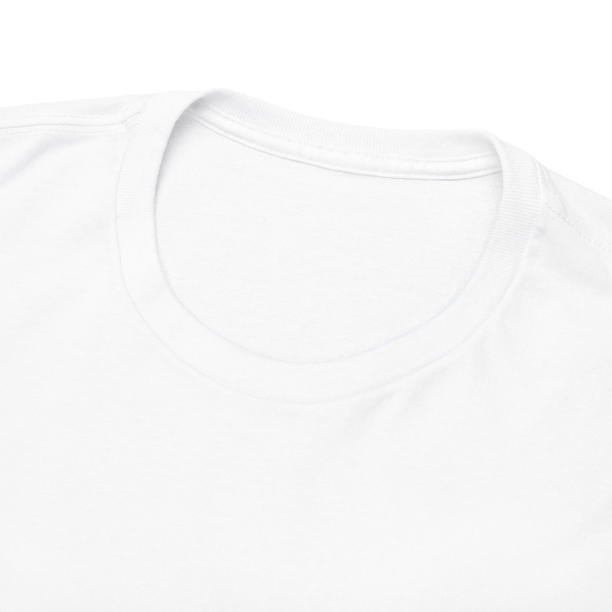 Funny Cat Approval Unisex Heavy Cotton Tee - All Visitors Must Be Approved by The Cat - Roe Creation