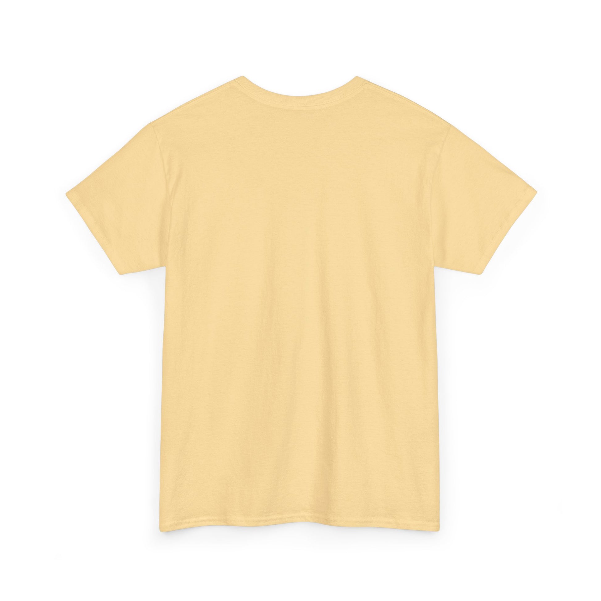 Motivational Unisex Heavy Cotton Tee - 'Work Hard, Dream Big' - Roe Creation
