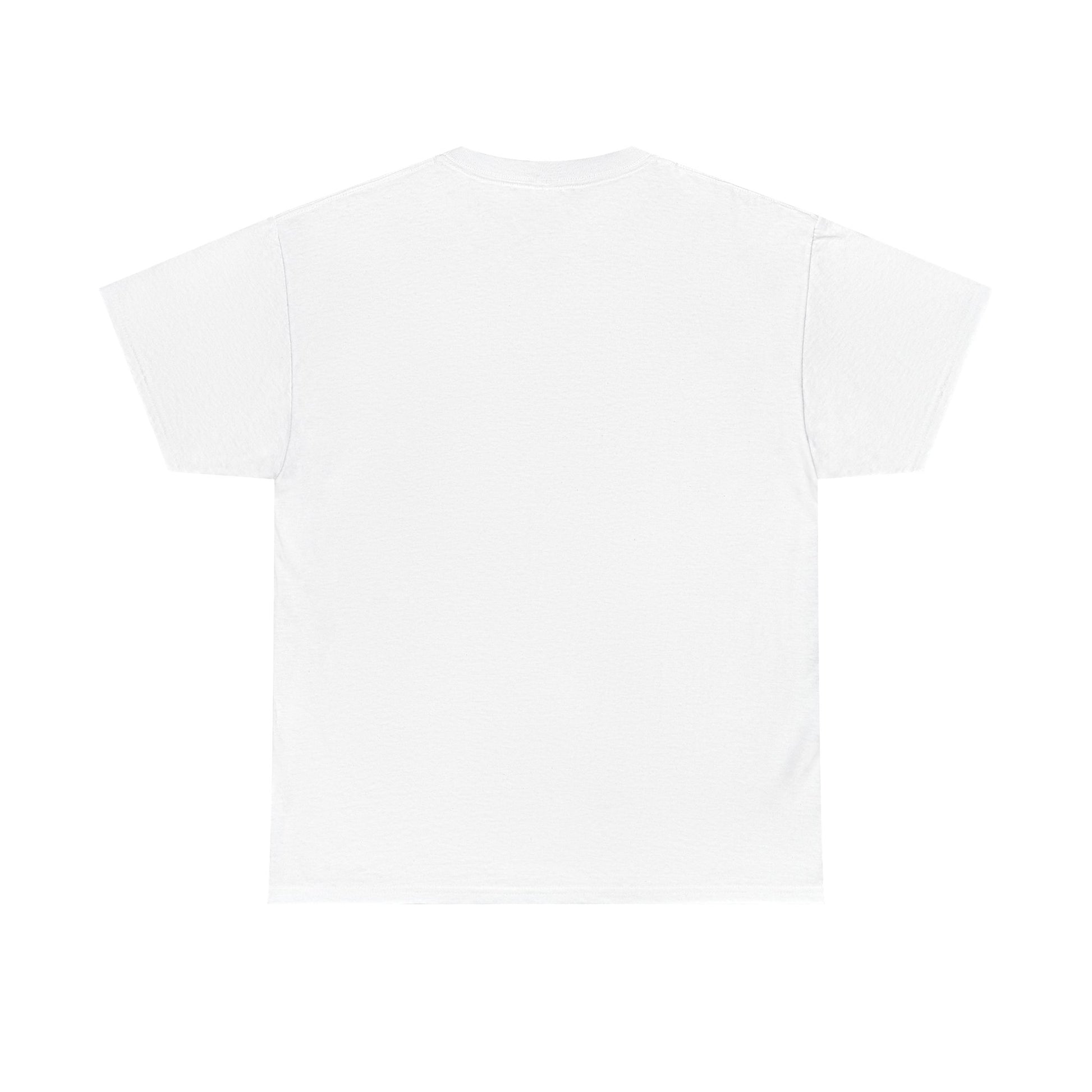 Funny Cat Approval Unisex Heavy Cotton Tee - All Visitors Must Be Approved by The Cat - Roe Creation