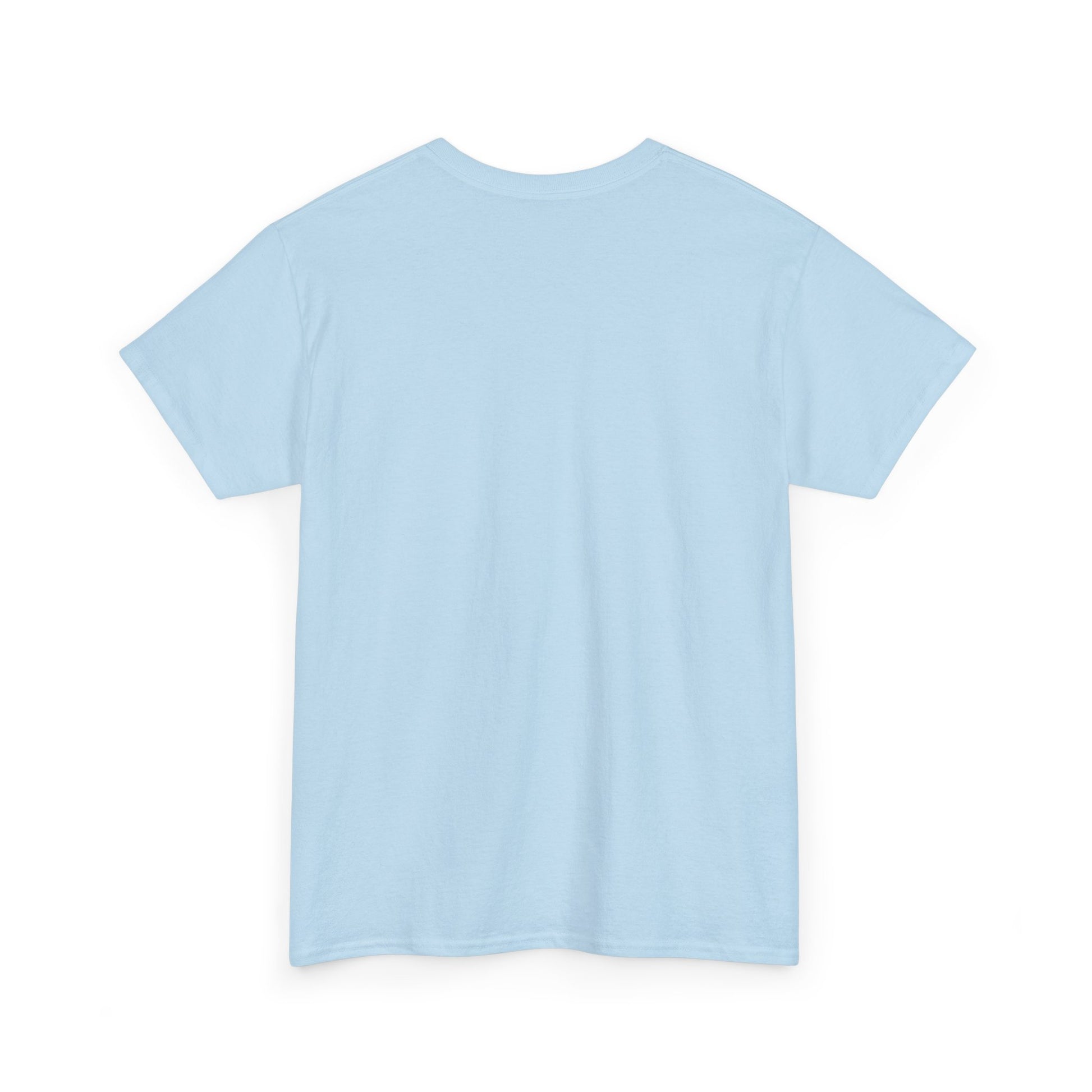Motivational Unisex Heavy Cotton Tee - 'Work Hard, Dream Big' - Roe Creation