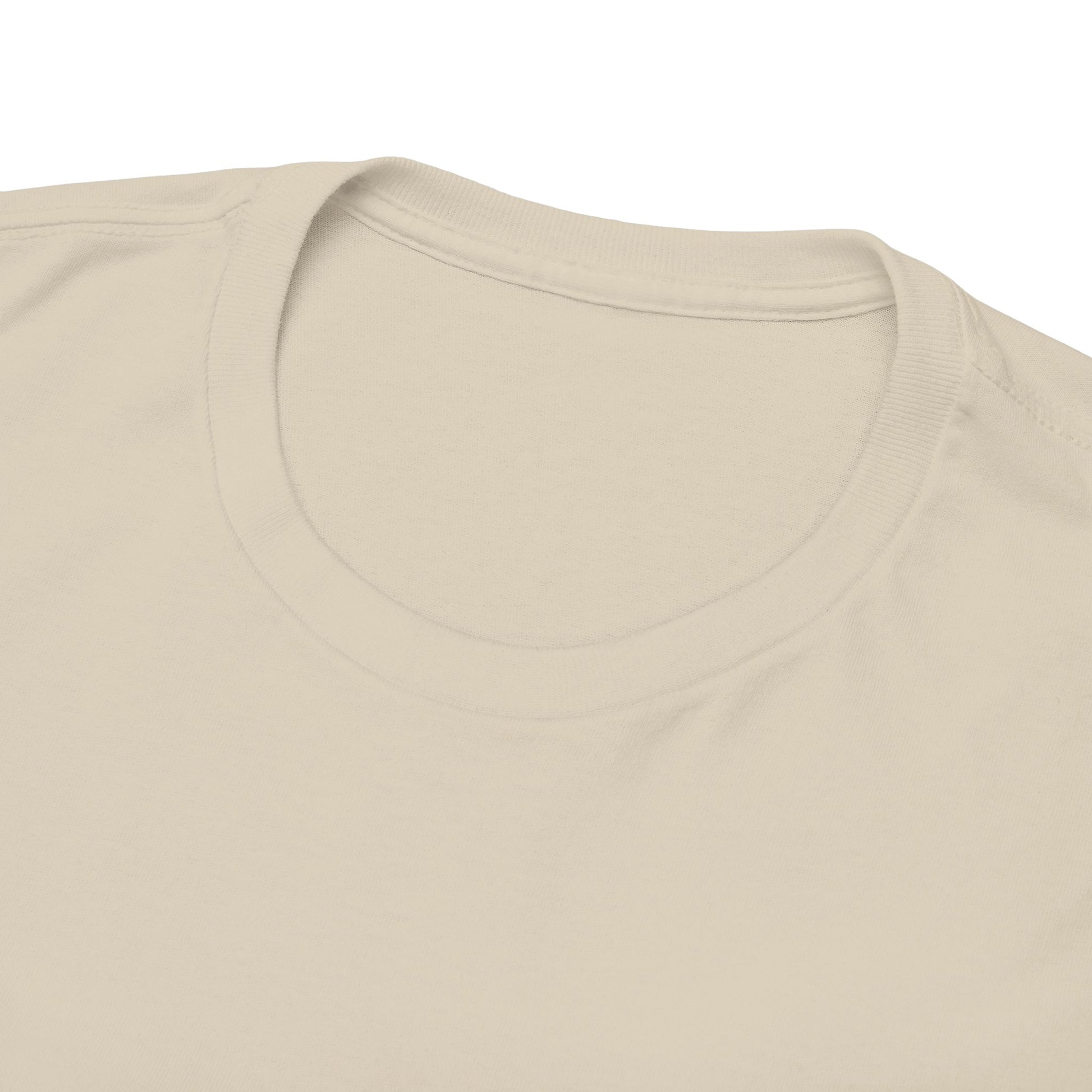 Funny Cat Approval Unisex Heavy Cotton Tee - All Visitors Must Be Approved by The Cat - Roe Creation