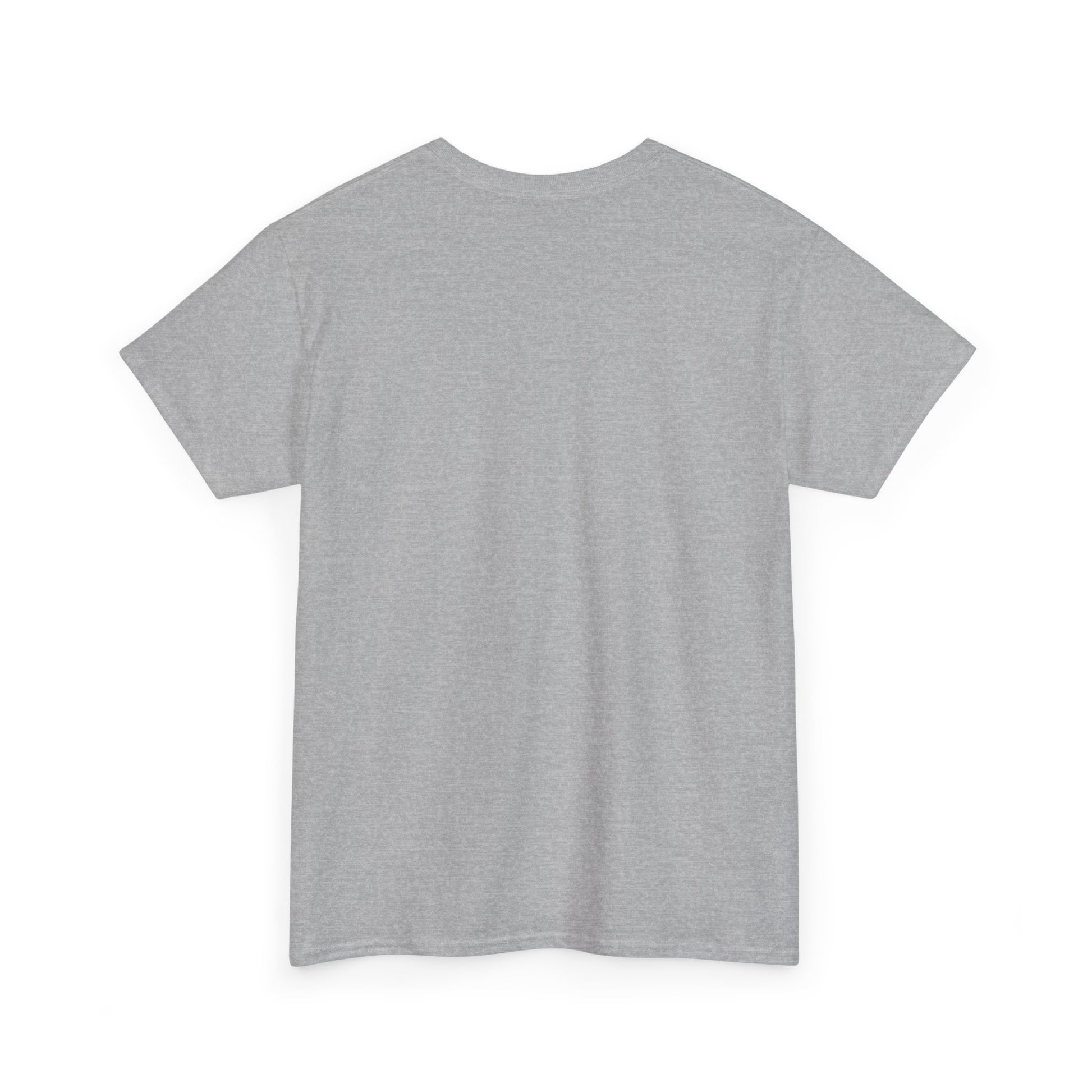 Motivational Unisex Heavy Cotton Tee - 'Work Hard, Dream Big' - Roe Creation