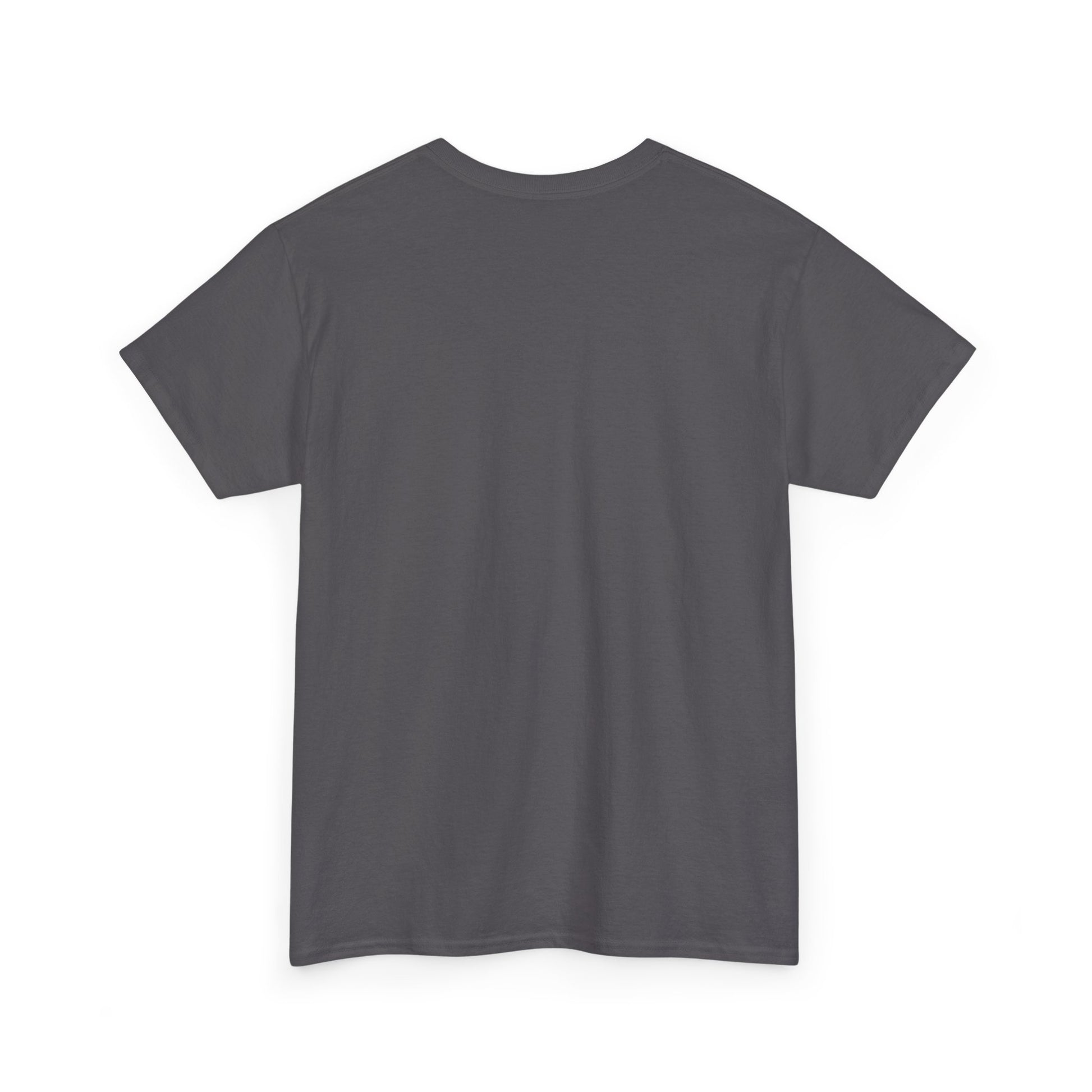 Motivational Unisex Heavy Cotton Tee - 'Work Hard, Dream Big' - Roe Creation