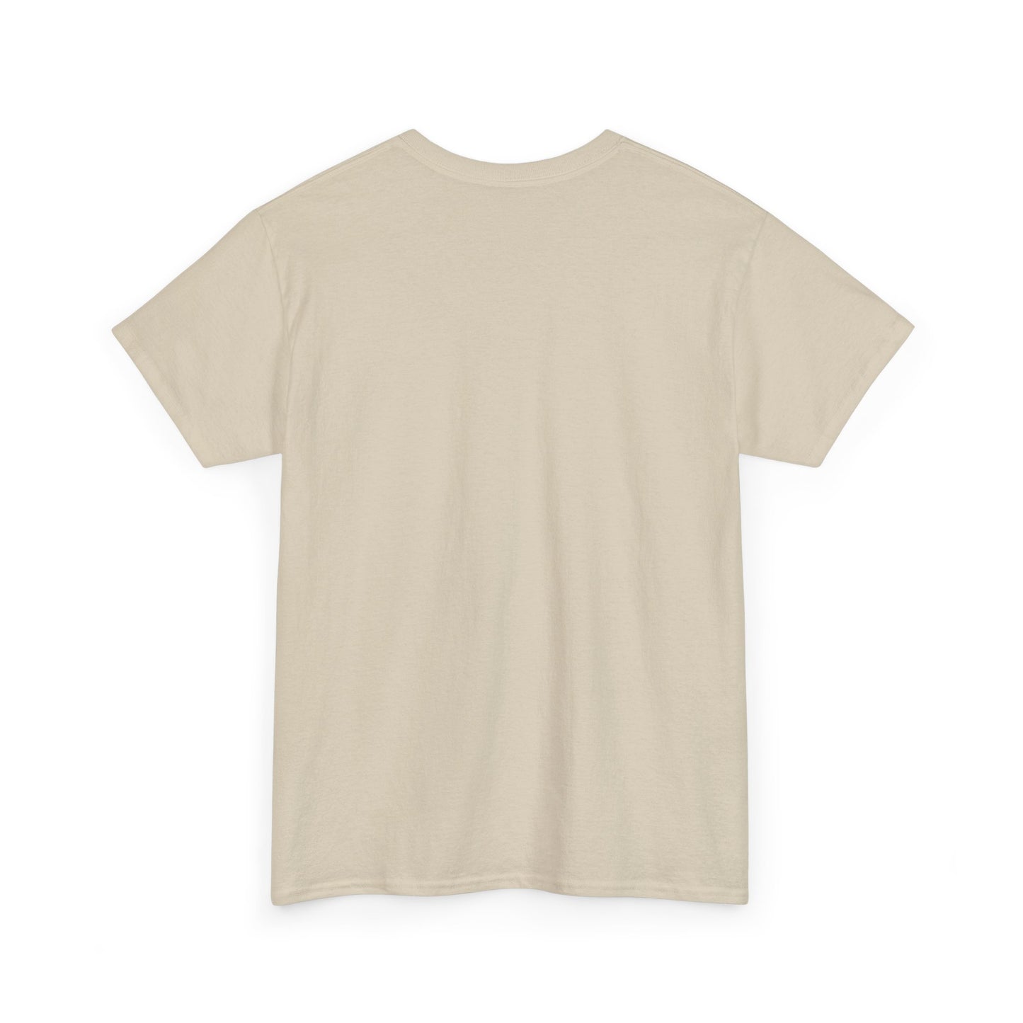Motivational Unisex Heavy Cotton Tee - 'Work Hard, Dream Big' - Roe Creation