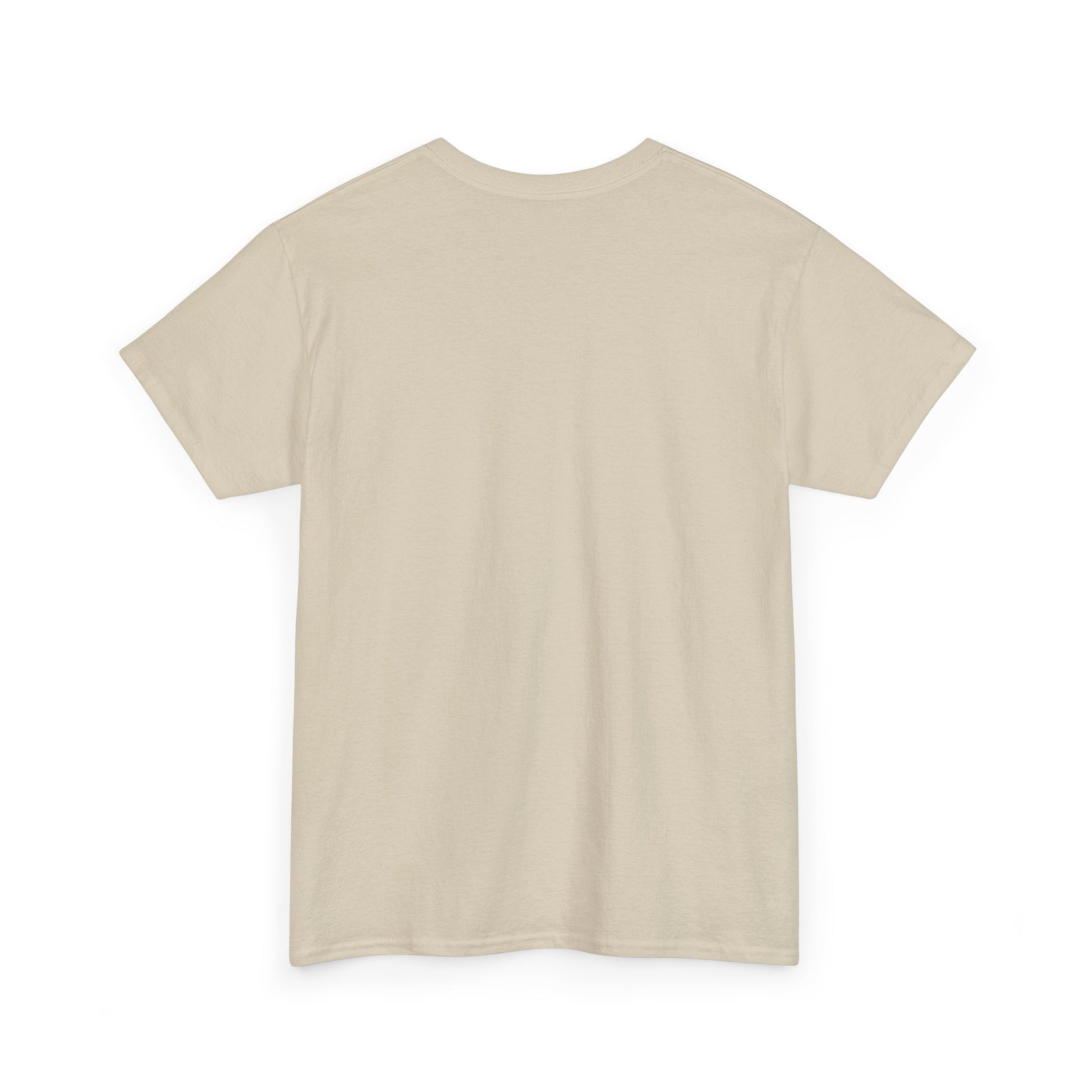 Motivational Unisex Heavy Cotton Tee - 'Work Hard, Dream Big' - Roe Creation