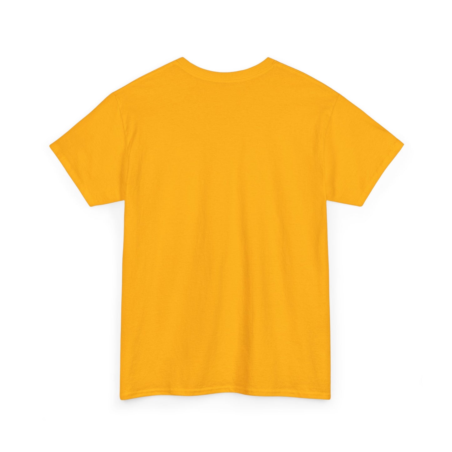 Motivational Unisex Heavy Cotton Tee - 'Work Hard, Dream Big' - Roe Creation