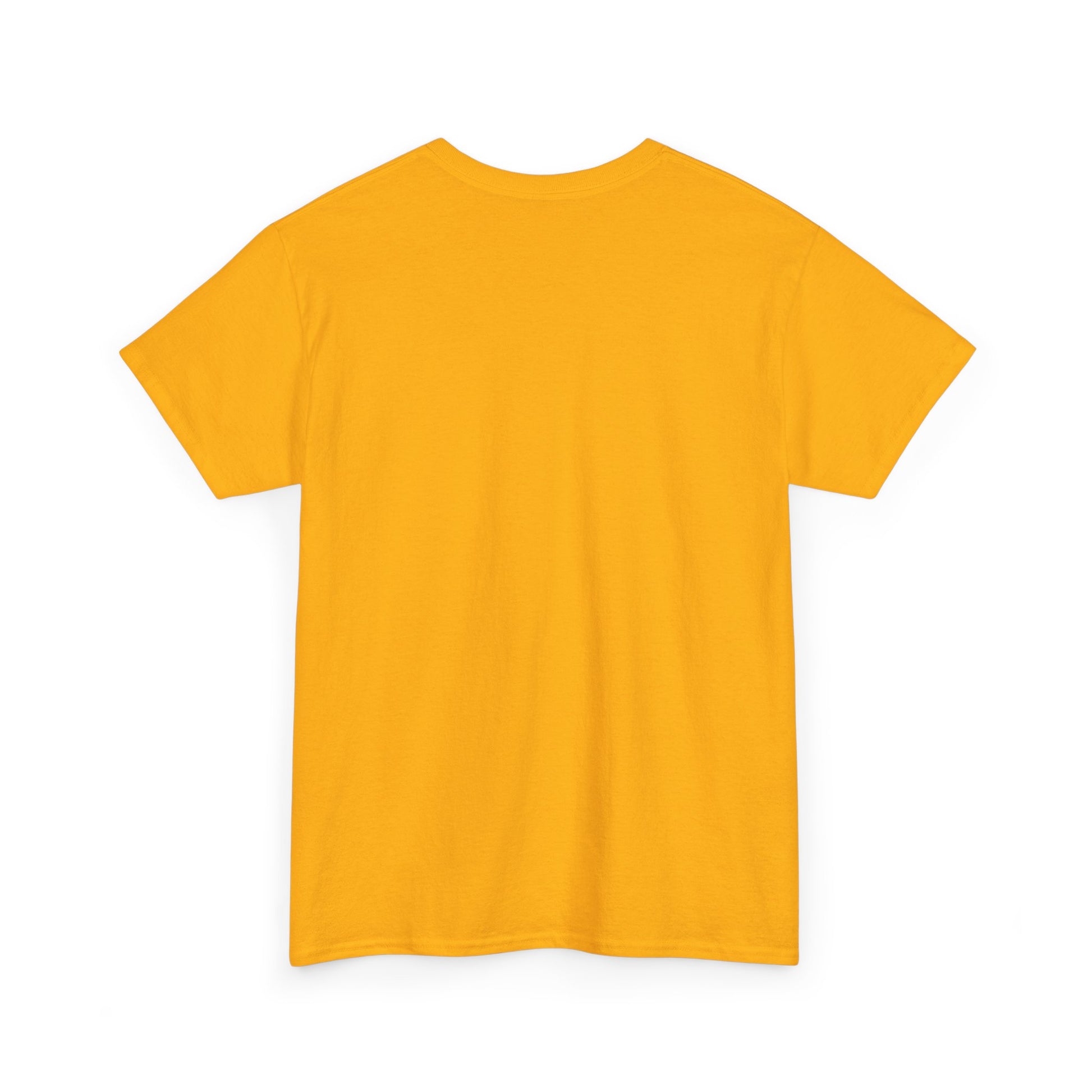 Motivational Unisex Heavy Cotton Tee - 'Work Hard, Dream Big' - Roe Creation