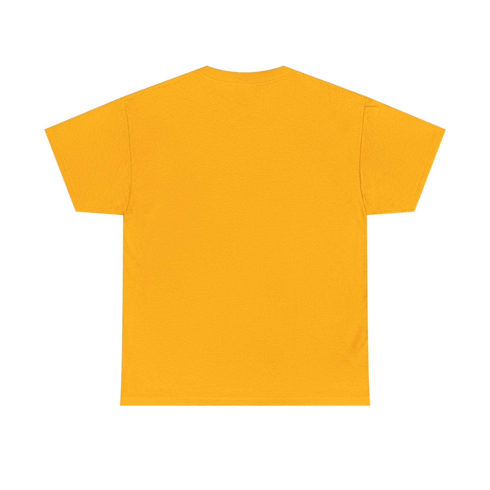 Funny Cat Approval Unisex Heavy Cotton Tee - All Visitors Must Be Approved by The Cat - Roe Creation